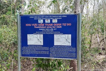 Biển cảnh báo bằng song ngữ Việt-Anh gần hang C7. (Ảnh: TTXVN phát)