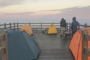 Cắm trại trên đỉnh Jeju. (Nguồn: Korea Times)