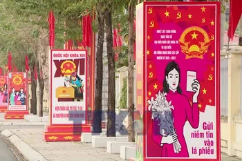 Cử tri Ninh Bình hướng về lá phiếu của niềm tin