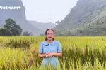 Kỳ thi tốt nghiệp THPT 2026: 8 "bí kíp" vàng chinh phục môn Địa lý của chuyên gia