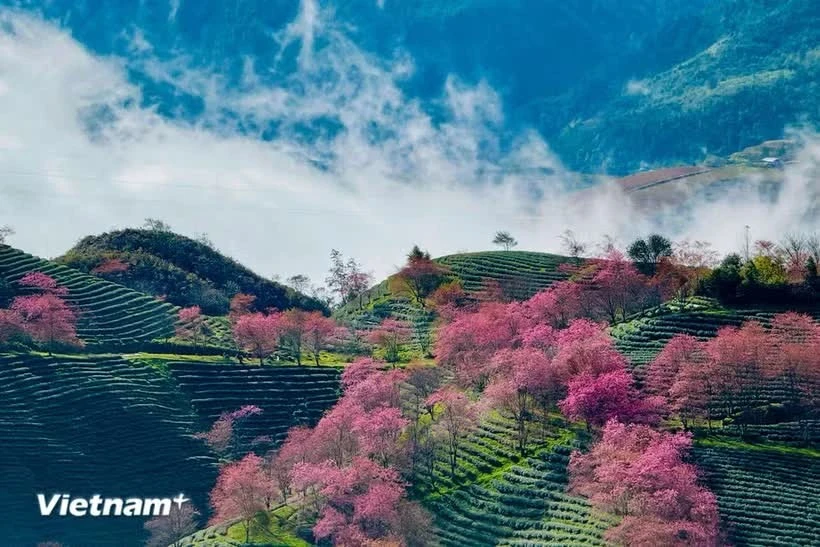 Sa Pa Lọt Top 53 Thị Trấn Đẹp Nhất Thế Giới: Bí Quyết Từ Thiên Nhiên Và Văn Hóa