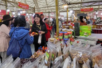 Khách tham quan, mua sắm tại Hội chợ Mùa Xuân. (Nguồn: Vietnam+)