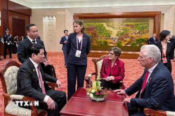 Chủ tịch nước Lương Cường gặp Bí thư Thứ nhất, Chủ tịch nước Cuba Miguel Diaz-Canel Bermudez. (Ảnh: TTXVN phát)