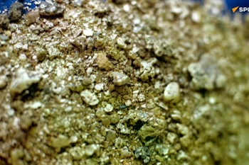 Mỏ vàng có trữ lượng khoảng 100 tấn. (Nguồn: Sputnik)