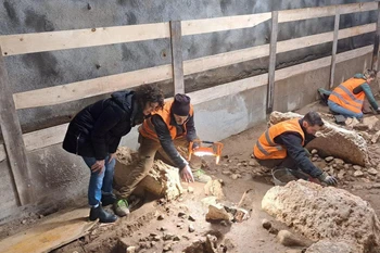 Địa điểm khai quật. (Nguồn: AOL)