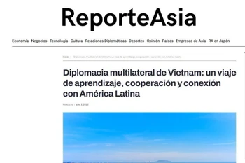 Ảnh chụp màn hình bài viết.