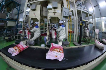 Senegal đang là thị trường tiềm năng cho xuất khẩu gạo của Việt Nam. (Ảnh: Vũ Sinh/TTXVN)