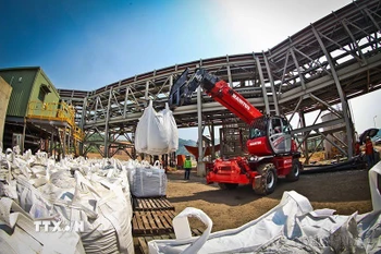 Sản phẩm vonfram tinh sau khi qua tuyển được đóng bao trước khi xuất khẩu của nhà máy Vonfram Núi Pháo. (Ảnh: Trọng Đạt/TTXVN)