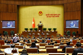 Quang cảnh phiên họp. (Ảnh: Doãn Tấn/TTXVN)