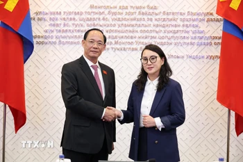 Phó Chủ tịch Quốc Trần Quang Phương tiếp Chủ tịch Nhóm Nghị sỹ hữu nghị Mông Cổ-Việt Nam Judagiin Bayarmaa. (Ảnh: Quang Hưng/TTXVN)