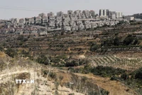 Quang cảnh khu định cư ở Efrat ở ngoại ô thành phố Bethlehem, Khu Bờ Tây. (Ảnh: Getty Images/TTXVN)