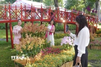Tiểu cảnh mang đặc trưng vùng miền thu hút nhiều người dân, du khách tại Festival Hoa Lan Thành phố Hồ Chí Minh năm 2025. (Ảnh: Trung Tuyến/TTXVN)