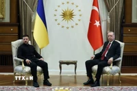 Tổng thống Ukraine Volodymyr Zelensky (trái) và Tổng thống Thổ Nhĩ Kỳ Tayyip Erdogan tại cuộc gặp ở Ankara ngày 15/5/2025. (Reuters/TTXVN)