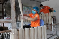 Công nhân tại một doanh nghiệp. (Ảnh: Trần Việt/TTXVN)