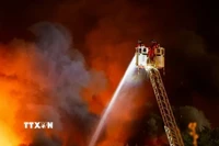 Ảnh minh họa. (Ảnh: REX/TTXVN)