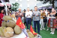Đại sứ, đại diện các nước ASEAN tại Bắc Kinh tham quan gian hàng của Việt Nam. (Ảnh: Công Tuyên/TTXVN)
