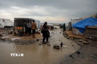 Khu lều tạm cho người tị nạn Palestine tại thành phố Gaza bị ngập nước do mưa lớn, ngày 12/12/2025. (Ảnh: THX/TTXVN)