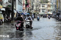 Đợt triều cường dâng cao ở Cà Mau hồi giữa tháng 12. (Ảnh: TTXVN)