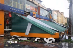 Nhiều cửa hàng tại Nghệ An bị đổ sập do mưa bão. (Ảnh: Trịnh Duy Hưng/TTXVN) 