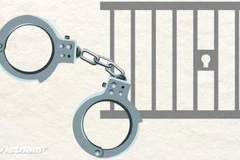 Ảnh minh họa. (Nguồn: Vietnam+)