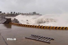 Sóng biển dâng cao ở đảo Lý Sơn do bão số 13. (Ảnh: Phạm Cường/TTXVN) 