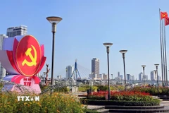 Thành phố Đà Nẵng được trang hoàng cờ hòa chào mừng sự kiện trọng đại của Đất nước. (Ảnh: Trần Lê Lâm/TTXVN)