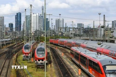 Ảnh minh họa. (Ảnh: THX/TTXVN) 