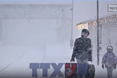 Hàng không châu Âu gián đoạn do bão 