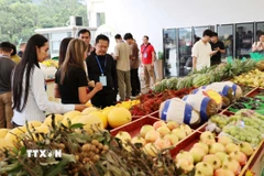 Nhiều loại hoa quả của Việt Nam như sầu riêng, chanh leo…, được bày bán tại khu vực cửa khẩu Hữu Nghị Quan (Trung Quốc). (Ảnh: Quang Hưng/TTXVN)