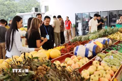 Nhiều loại hoa quả của Việt Nam như sầu riêng, chanh leo…, được bày bán tại khu vực cửa khẩu Hữu Nghị Quan (Trung Quốc). (Ảnh: Quang Hưng/TTXVN)