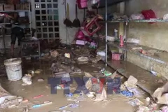 Khánh Hòa nỗ lực ổn định sau cơn lũ lụt lịch sử