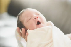 Bỉ: Bé gái đầu tiên chào đời sau ca ghép tử cung ở mẹ