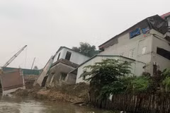 Hà Nội: Khẩn trương xử lý sự cố lún, nứt đê hữu Cầu và hữu Hồng