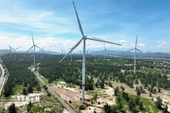 Điện gió tỉnh Gia Lai. (Ảnh: Vũ Sinh/TTXVN)