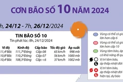 Dự báo hoạt động của bão số 10 trong năm 2024