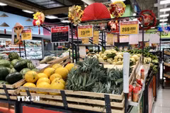 Ngày 30/1/2025 (mùng 2 Tết Ất Tỵ), nhiều đơn vị tại Thành phố Hồ Chí Minh mở cửa khai trương và kinh doanh trở lại, nhằm đáp ứng nhu cầu mua sắm và giải trí của người dân. (Ảnh: Mỹ Phương/TTXVN)