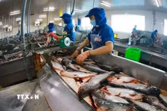 Ảnh minh họa. (Ảnh: Vũ Sinh/TTXVN)