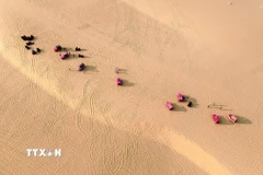 Đồi cát Mũi Dinh - “tiểu sa mạc” phía Nam Khánh Hòa