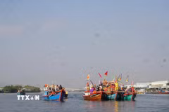 Một lễ hội cầu ngư. Ảnh minh họa. (Ảnh: Sỹ Thắng/TTXVN)