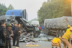 Ảnh minh họa. (Nguồn: Internet)