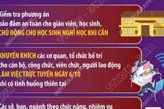 Hà Nội: Chỉ đạo khẩn trương ứng phó bão số 11 - Matmo