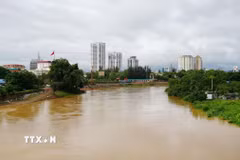Mực nước sông Cầu đoạn chảy qua khu vực trung tâm tỉnh Thái Nguyên sáng 10/7/2026. (Ảnh: Hoàng Nguyên/TTXVN)