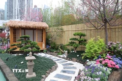 Trung Quốc: Ấn tượng triển lãm hoa tại Hong Kong 