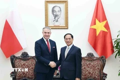Phó Thủ tướng Bùi Thanh Sơn tiếp Phó Thủ tướng, Bộ trưởng Kỹ thuật số Cộng hòa Ba Lan Krzysztof Gawkowski. (Ảnh: An Đăng/TTXVN)