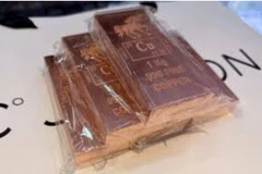 Ảnh minh họa. (Nguồn: Internet)