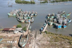 Tàu không đủ điều kiện được xã Phước Hải bố trí neo đậu tại ụ tàu Lứa Bạn cắt cử Ban điều hành ấp trông coi để quản lý chặt chẽ không cho ra khơi xuất bến. (Ảnh: Hoàng Nhị/TTXVN) 