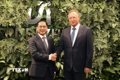 Phó Thủ tướng Bùi Thanh Sơn tiếp Tổng Giám đốc Zarubezhneft Sergei Kudryashov. (Ảnh: Tâm Hằng/TTXVN)