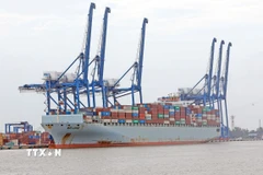 Bốc xếp hàng hóa qua Cảng Container Quốc tế Tân Cảng – Hải Phòng (TC-HICT). (Ảnh: Trần Việt/TTXVN)