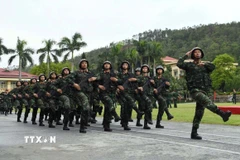 Các lực lượng thực hiện đi theo điều lệnh tại lễ tuyên thệ. (Ảnh: Trọng Đức/TTXVN)