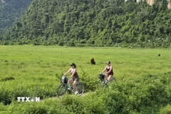 Du khách nước ngoài tham quan Điểm du lịch Cộng đồng Việt Hải chiều 14/8. (Ảnh: Minh Thu/TTXVN)